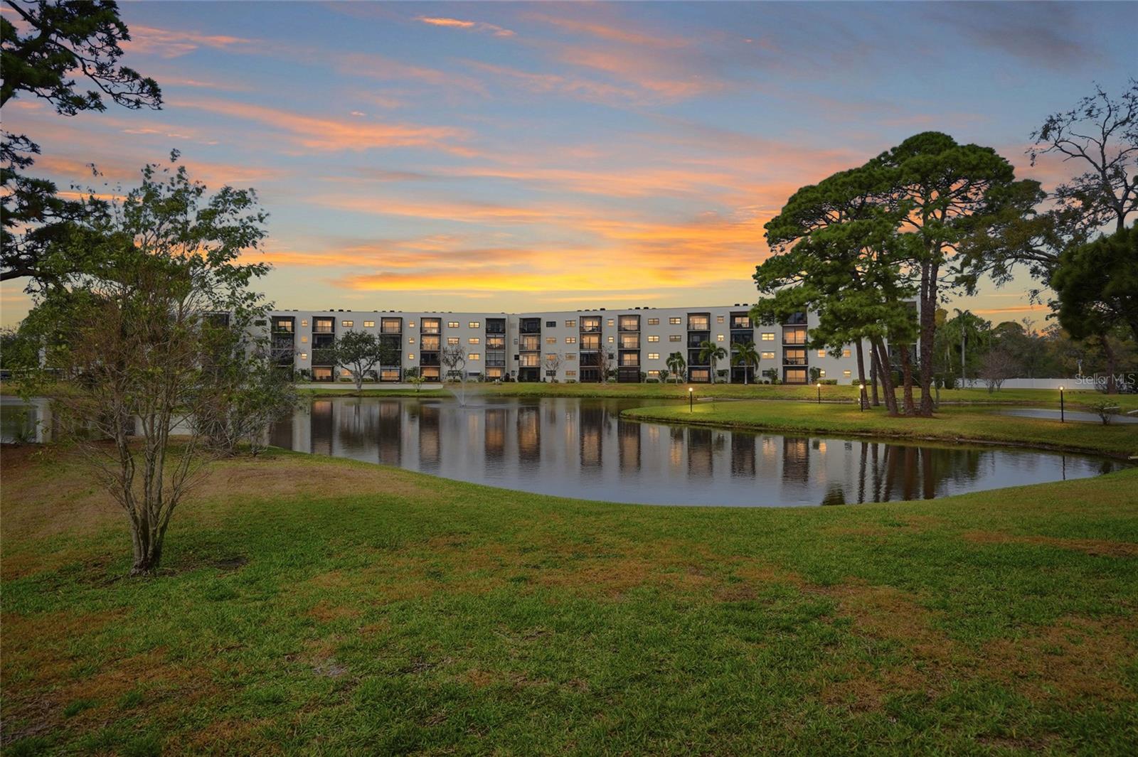 Evening pond views at twilight—quiet, calming, and beautifully lit.