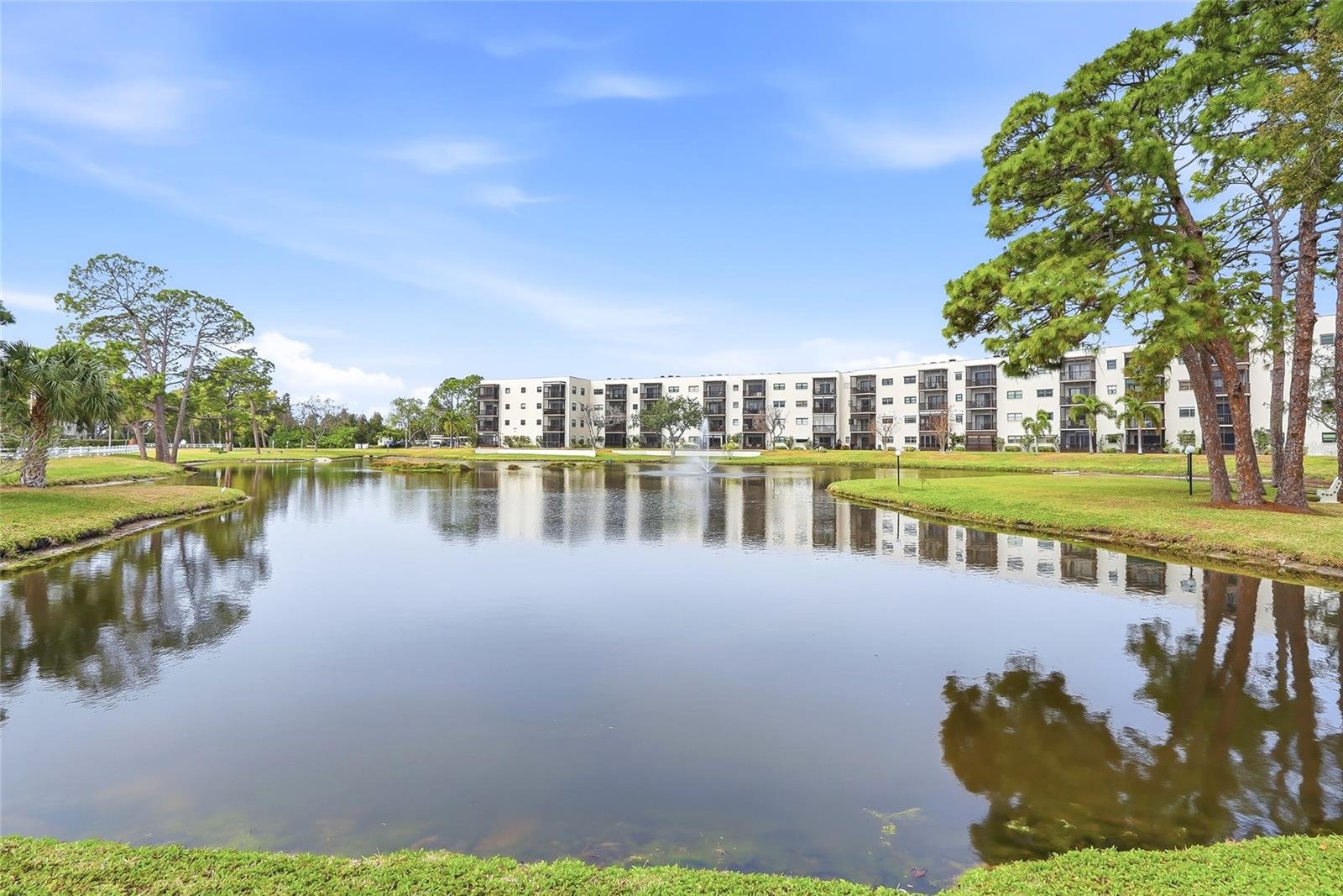 Another tranquil lakeside perspective—peaceful scenery right outside your door.