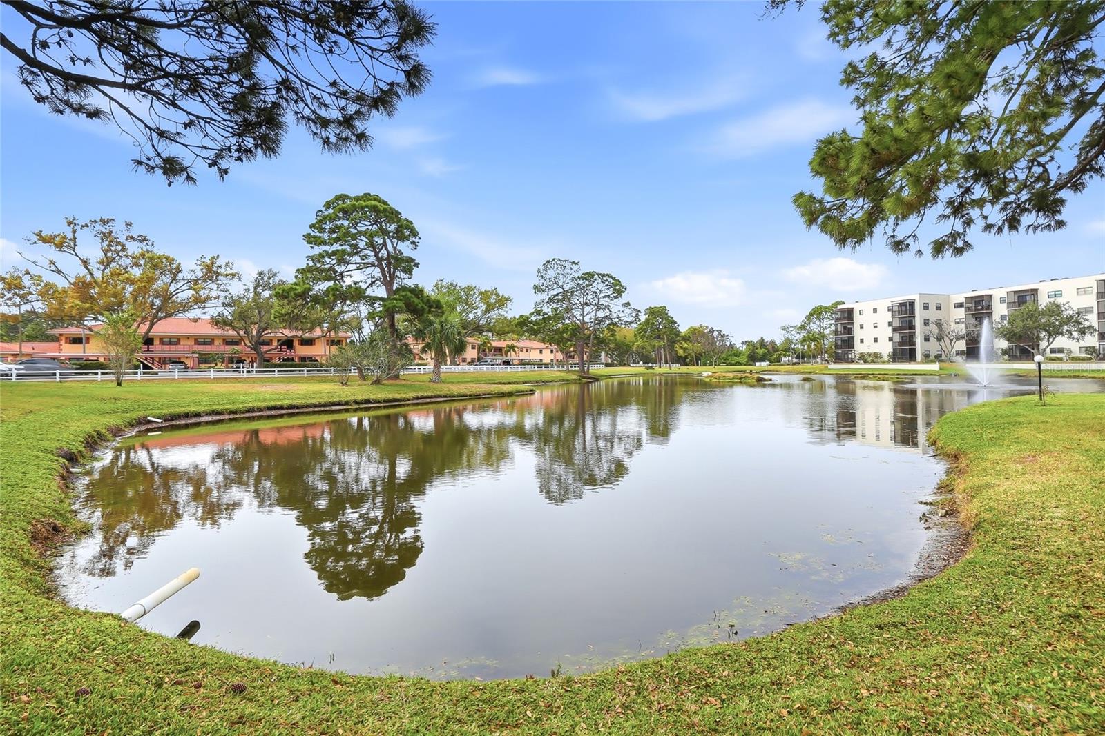 Serene pond and fountain views with wide-open green space.