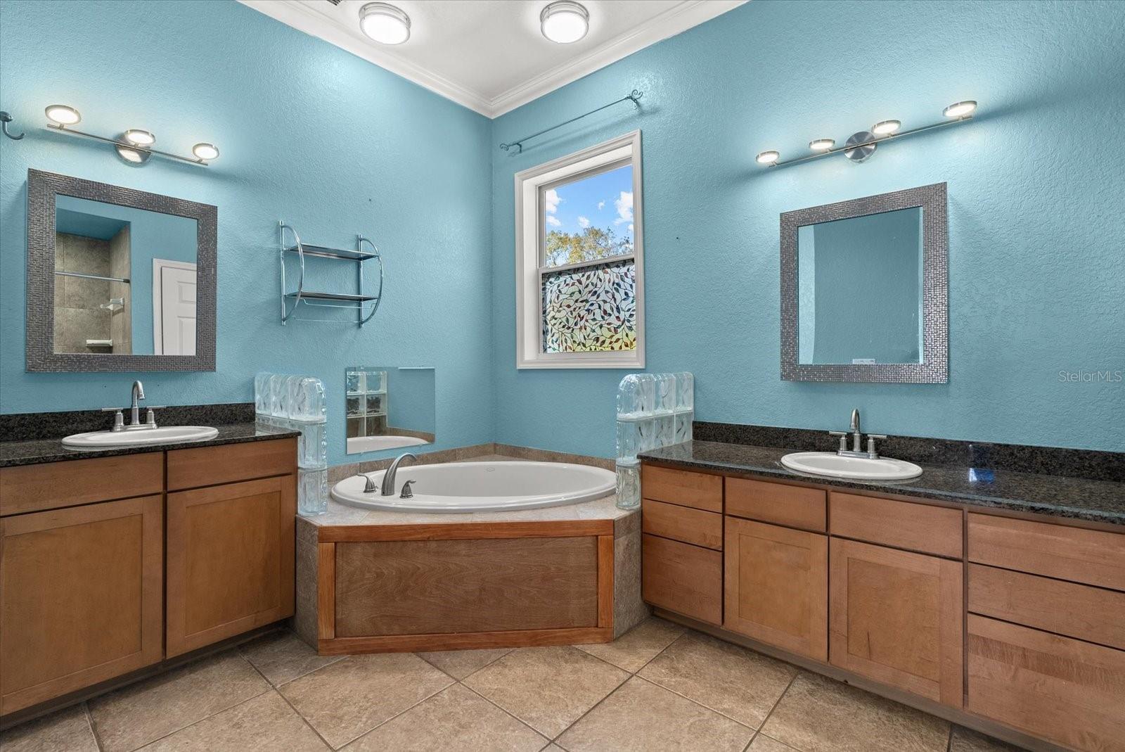 Main Floor Primary Bathroom