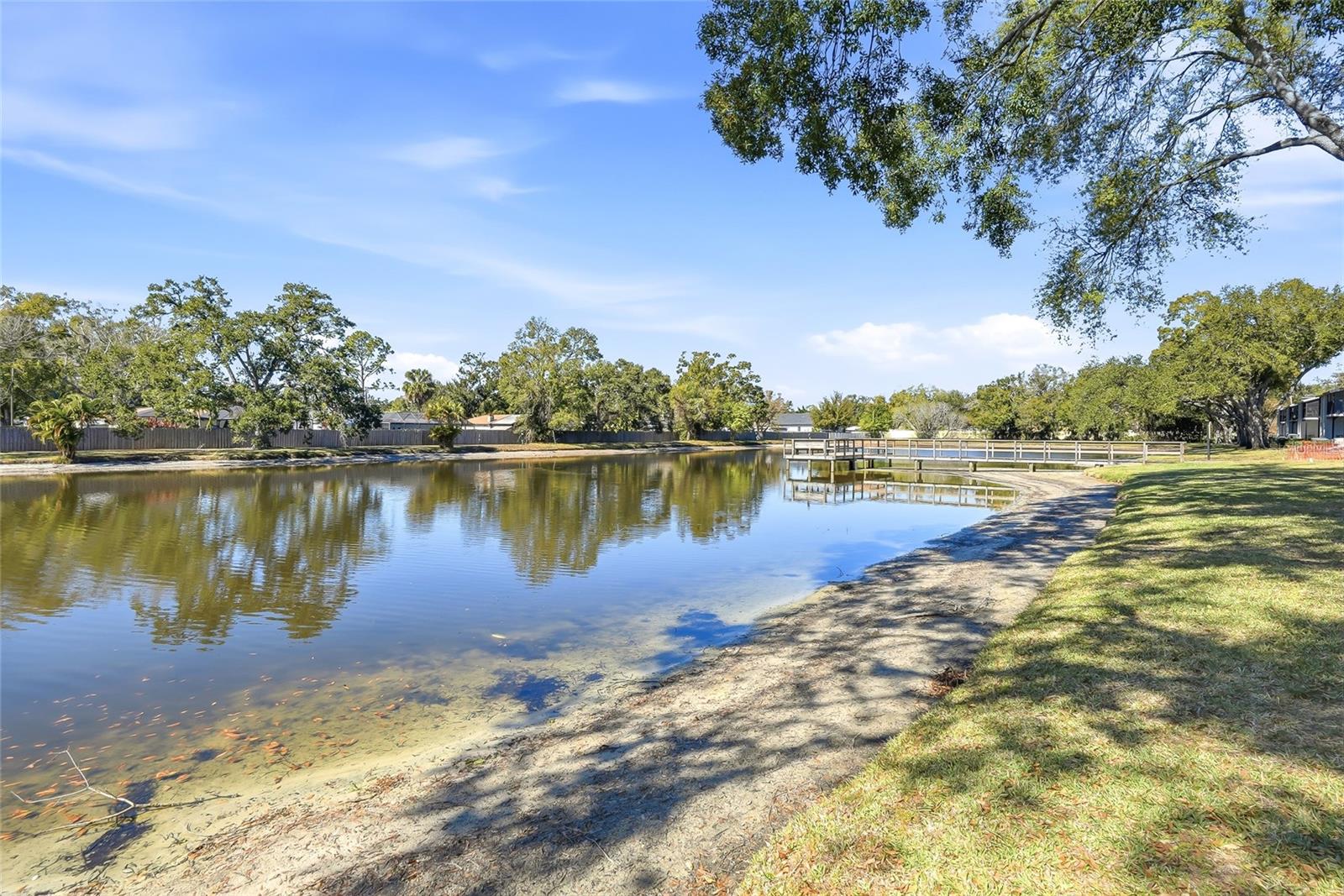 Lake View from Ground Out Back