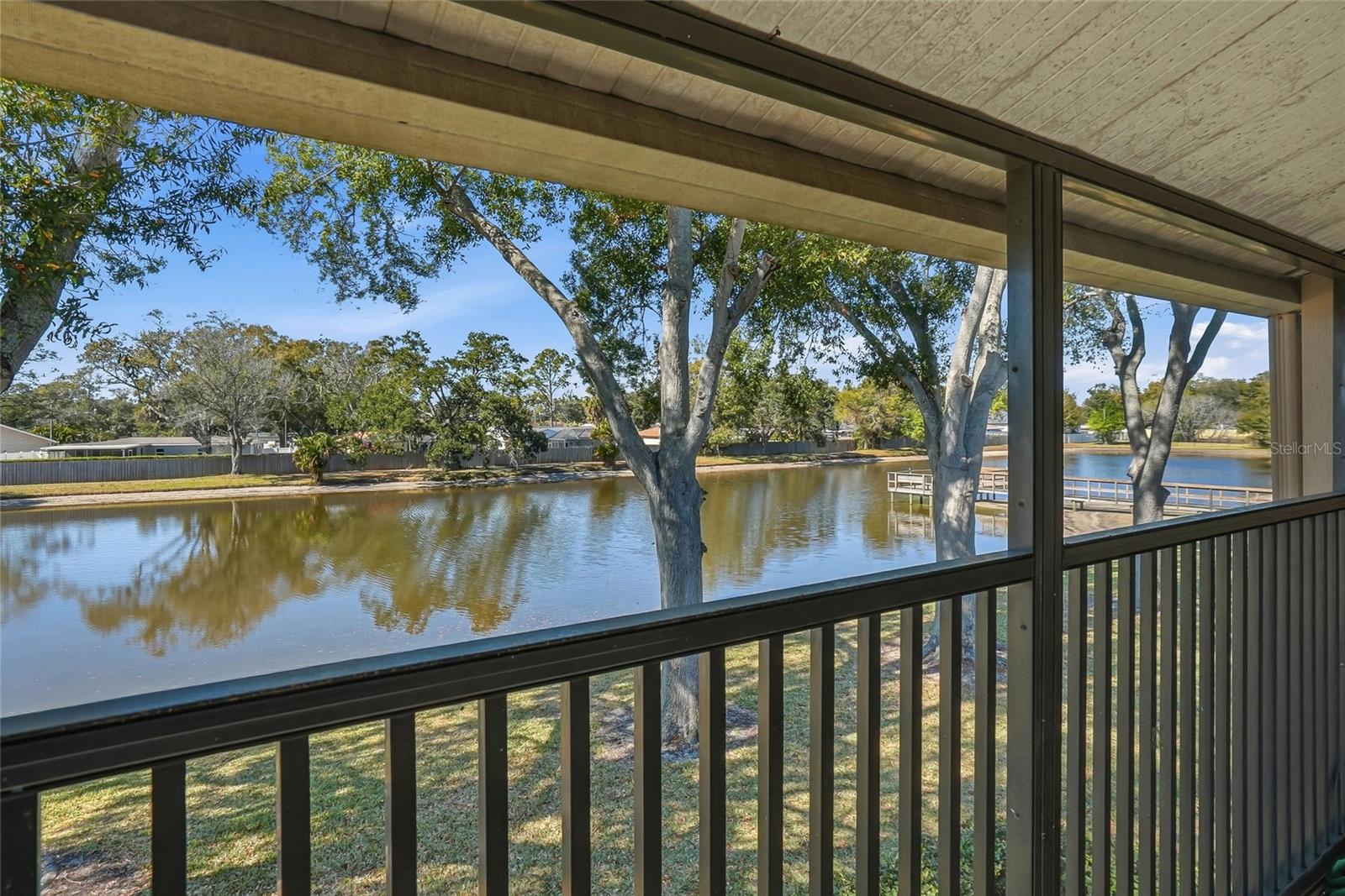 View of Lake from Back Porch