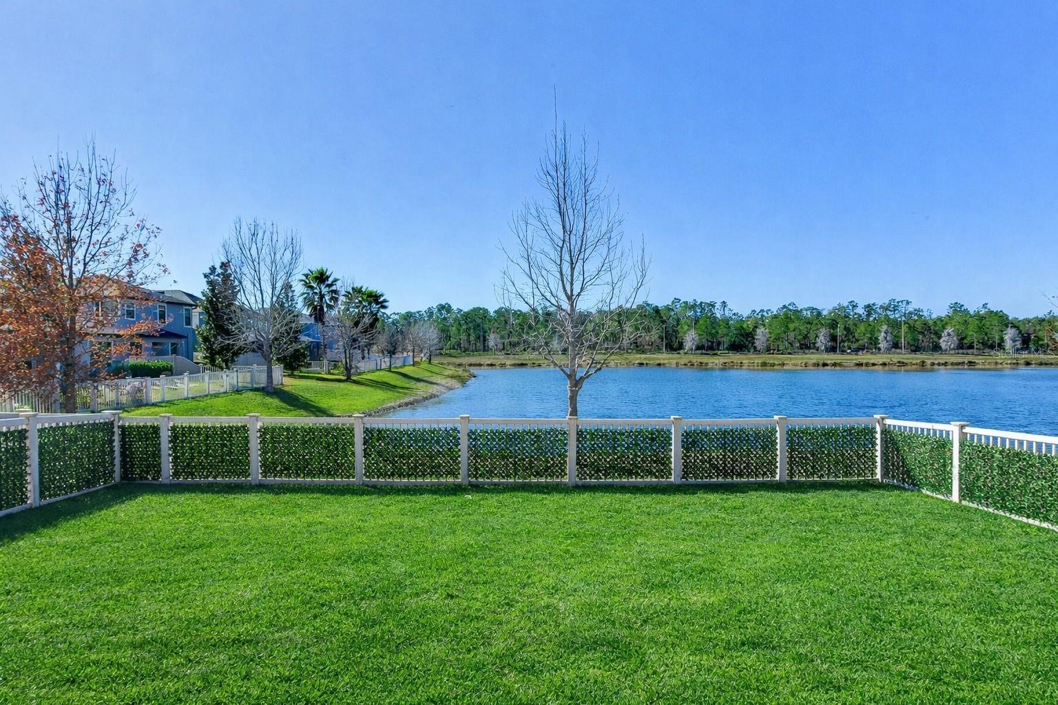 Back - Pond View