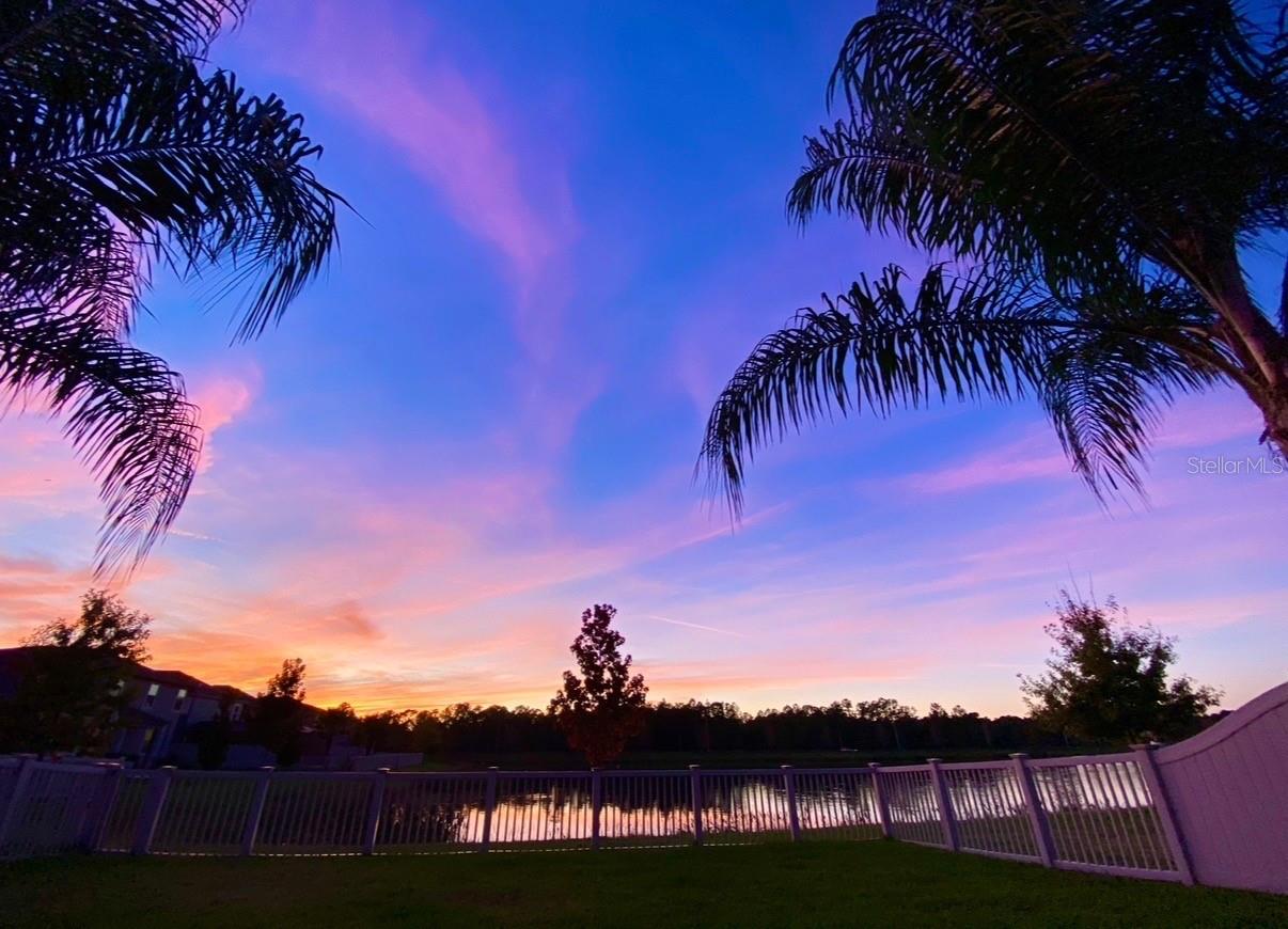 Backyard views