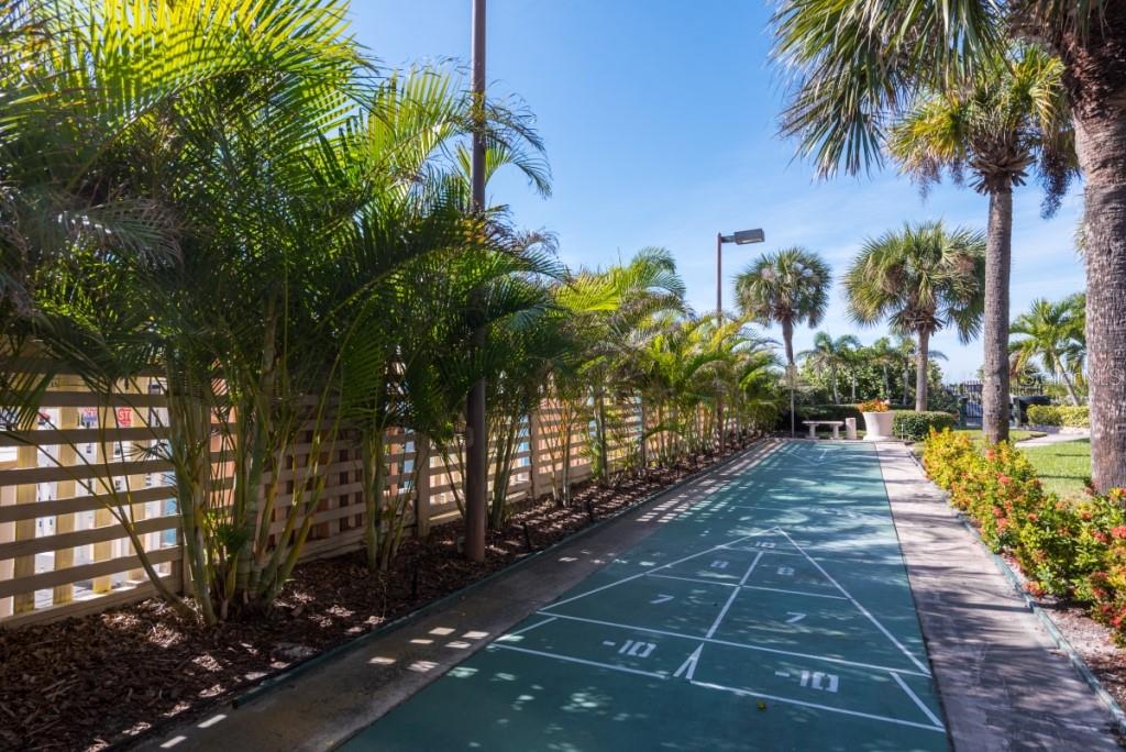 Shuffleboard Court