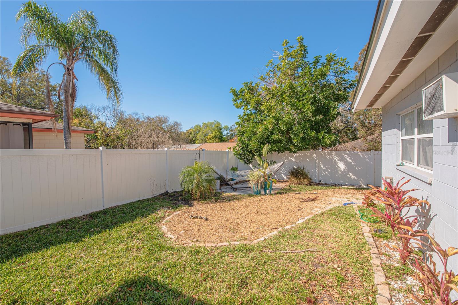 Left side of back yard.