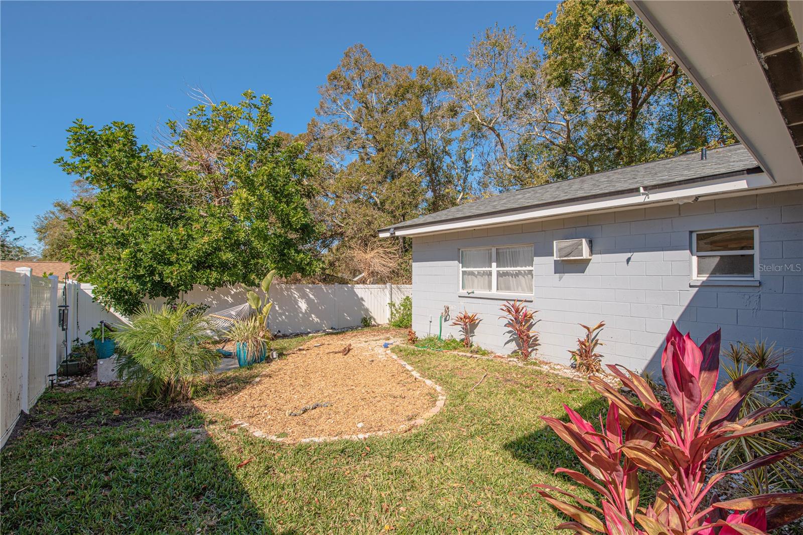 Left side of back yard.