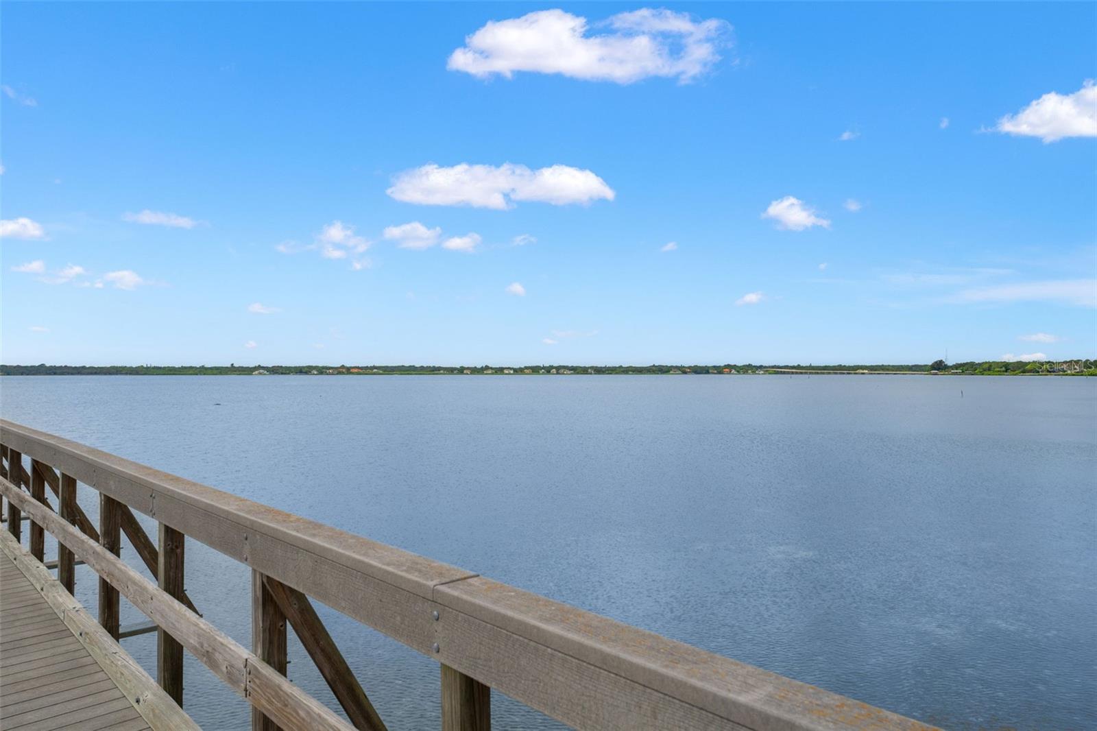 Breathtaking wide-angle view of Old Tampa Bay from the pier, showcasing the serene natural beauty of the shoreline.