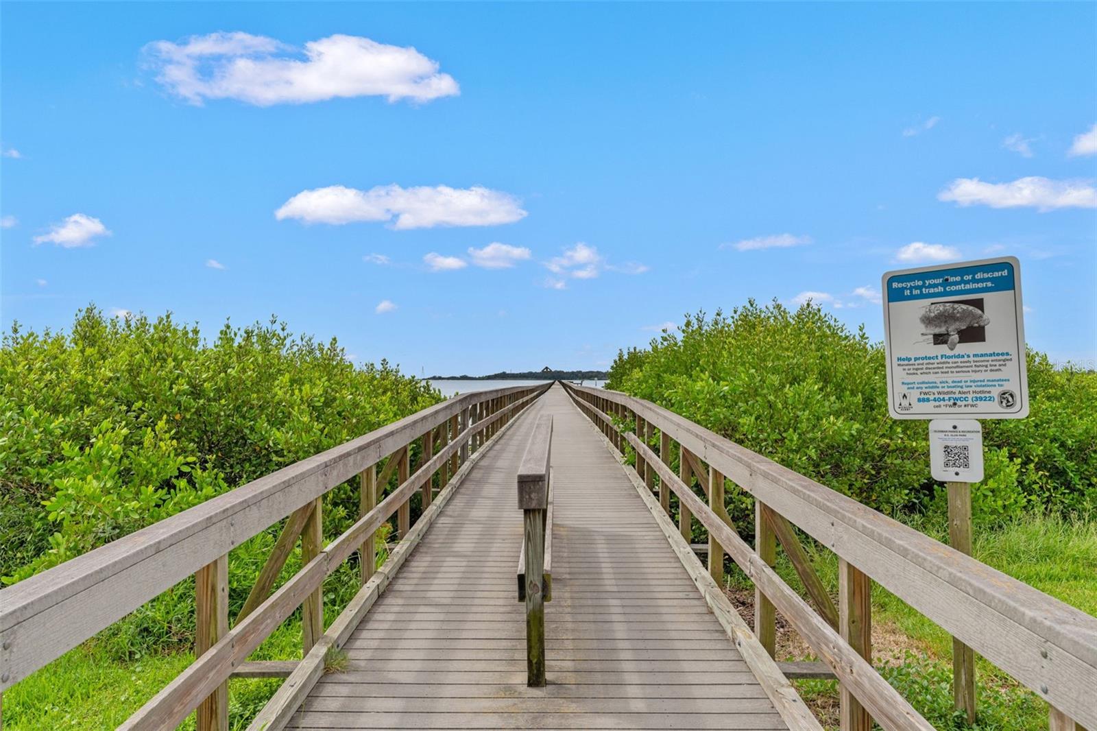 Scenic wooden boardwalk leading through lush mangroves to the water’s edge—great for sunset strolls and wildlife watching.