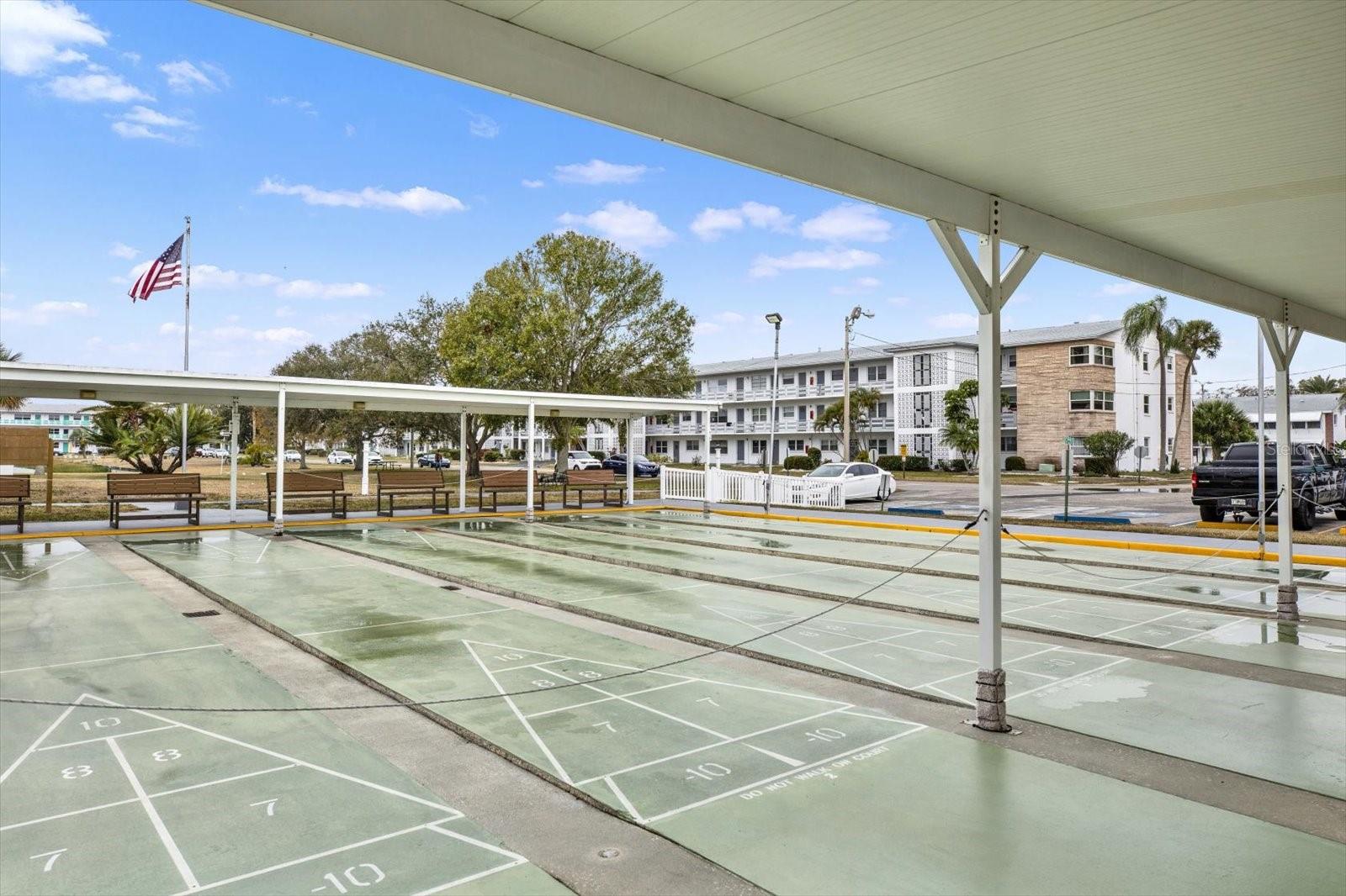 Shuffleboard Court