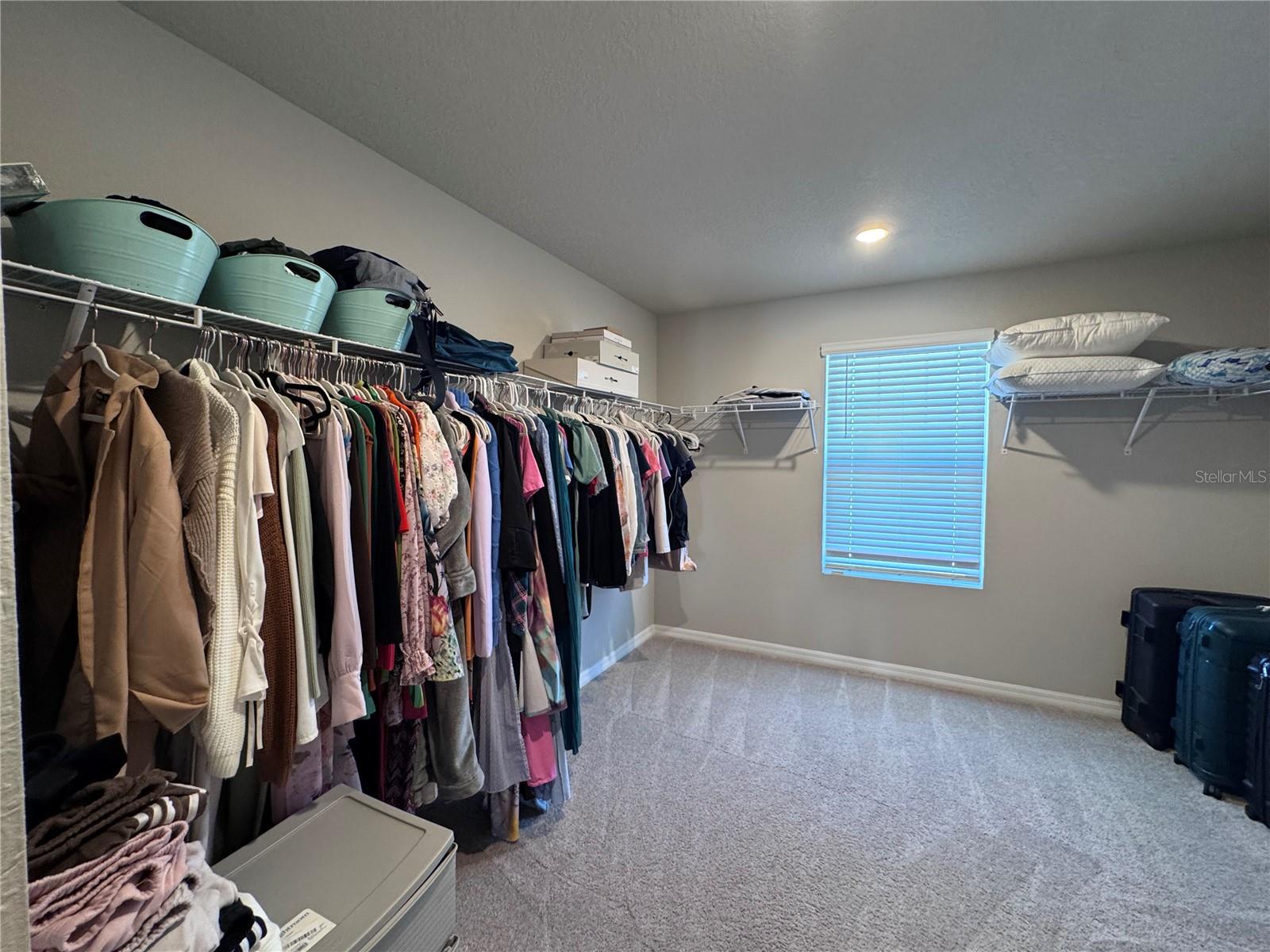 Primary Closet Walk-In