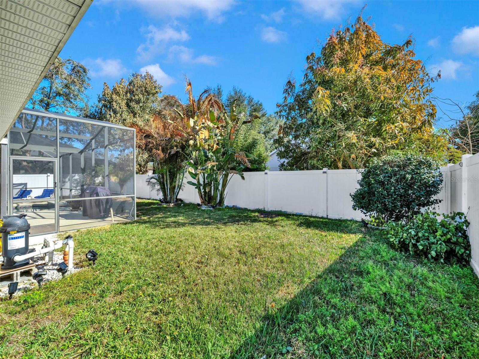 Generous side/back yard—room to play