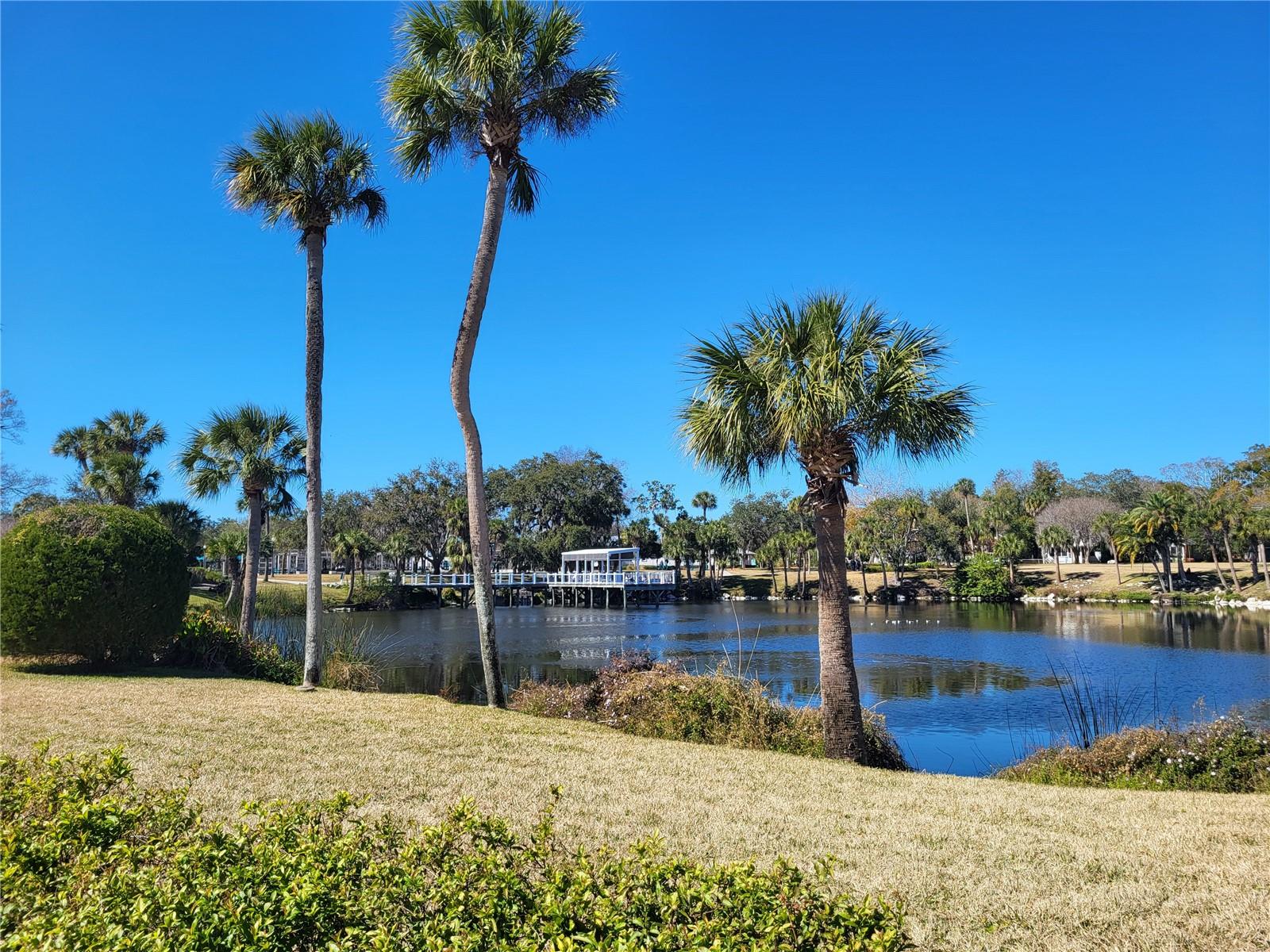 Downtown New Port Richey