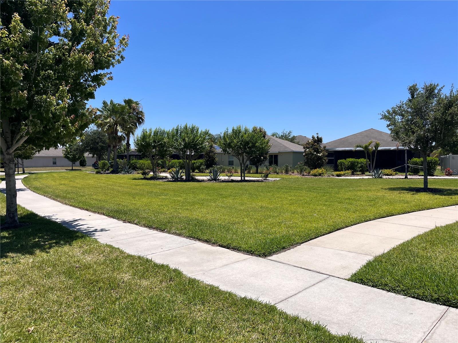 Walking paths across the street