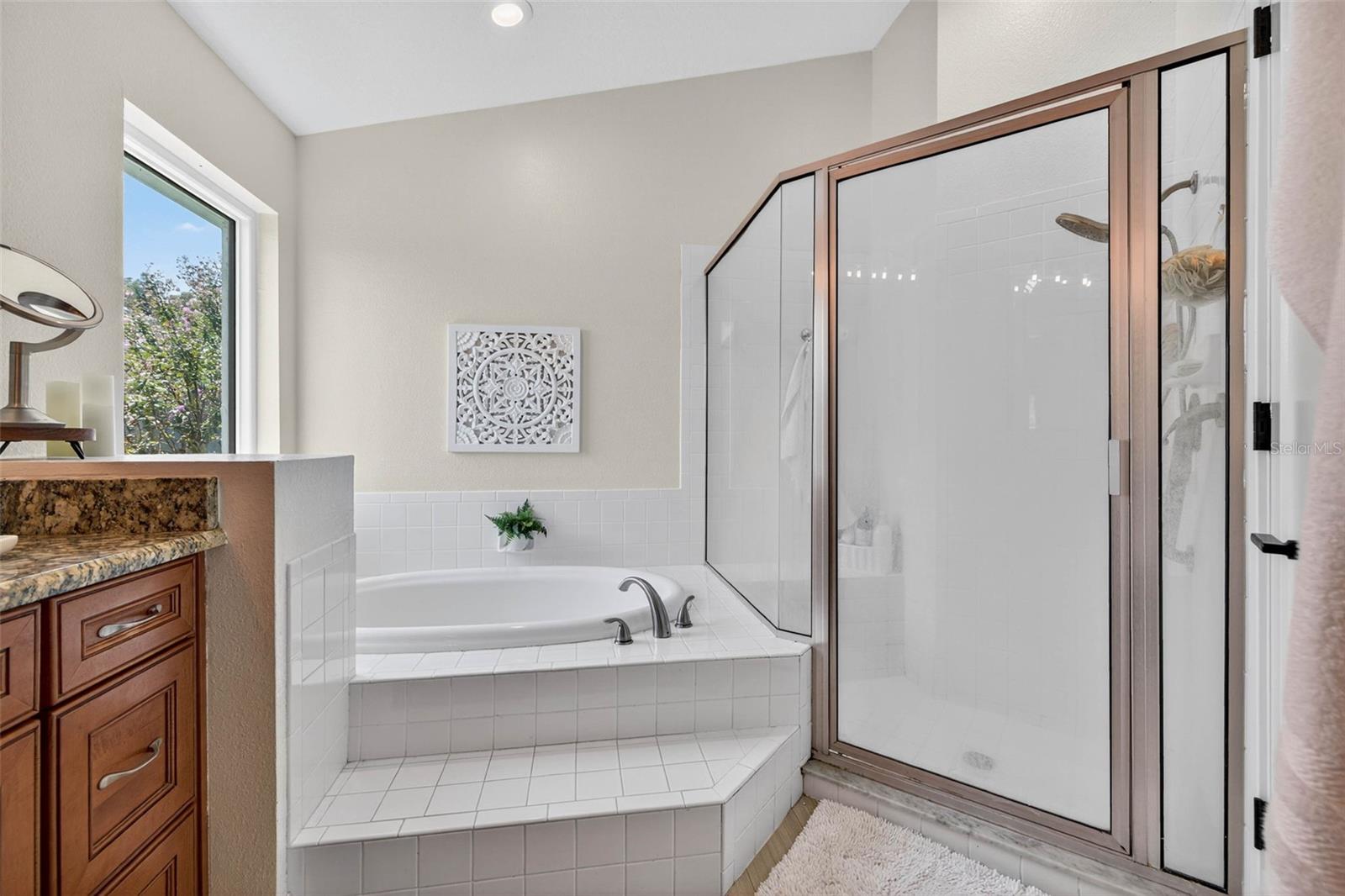 Garden tub and walk-in shower