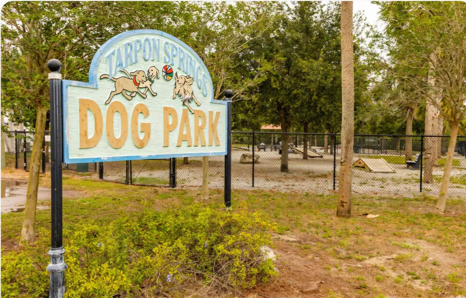 Tarpon Springs Dog/Splash Park.