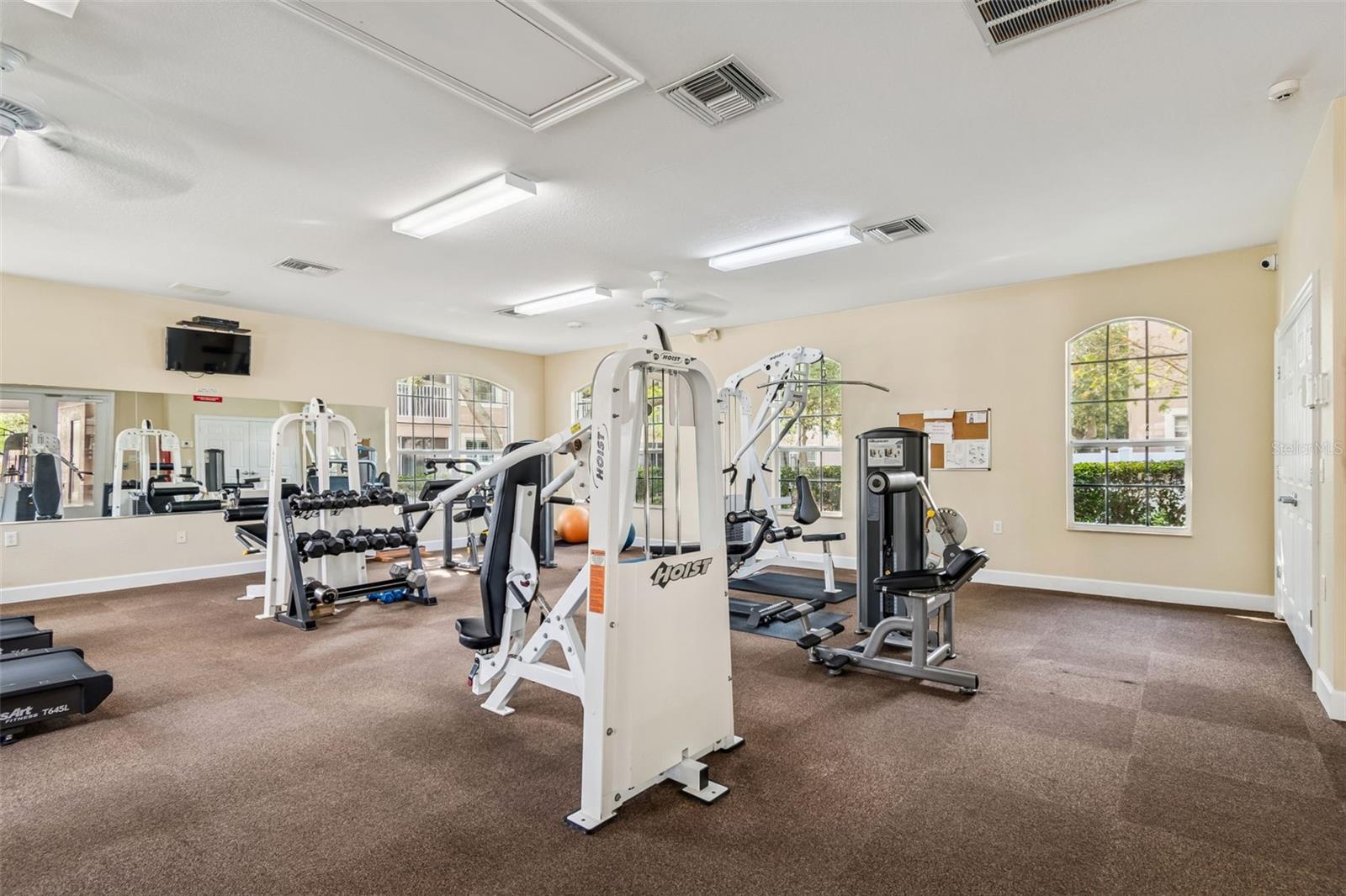 Discover a light-filled exercise room featuring top-of-the-line HOIST machines, free weights, and mats for floor routines, offering everything needed for a balanced fitness regimen in a refreshing environment.