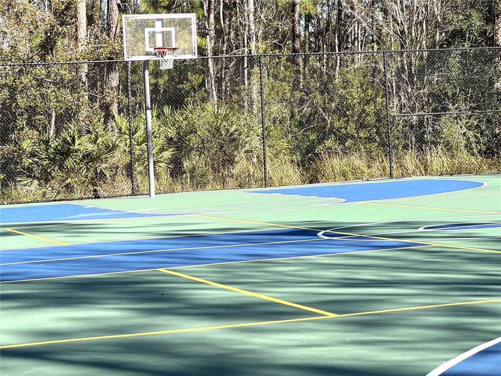 Basketball Court