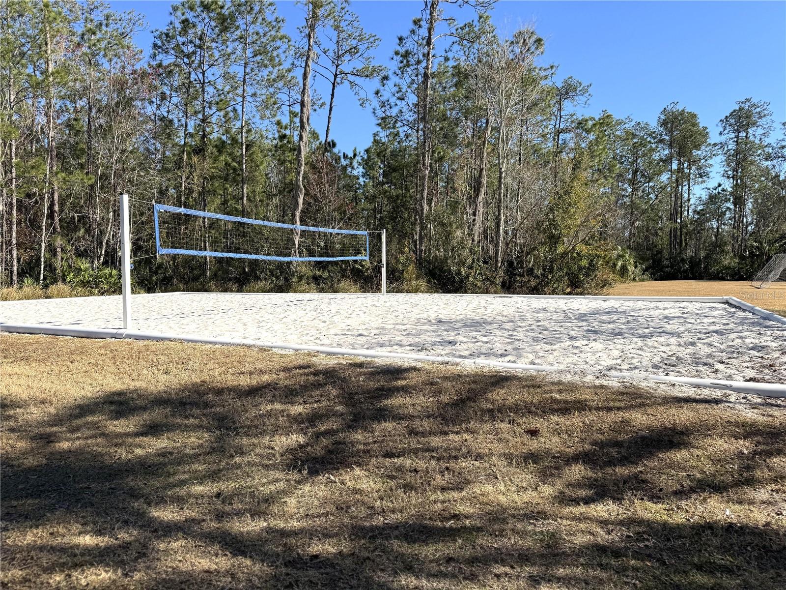Volleyball Court