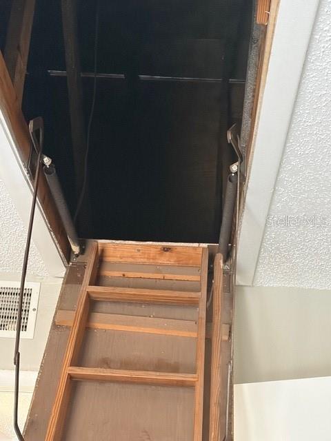 Attic Access 2
