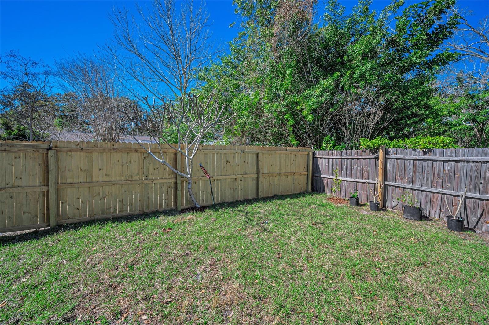 PRIVATE YARD WITH WOOD FENCE AND GATE.