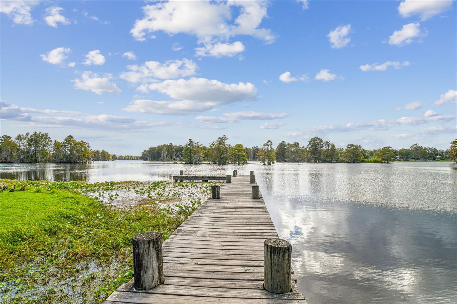 Riverhills Dock & Boat Launch