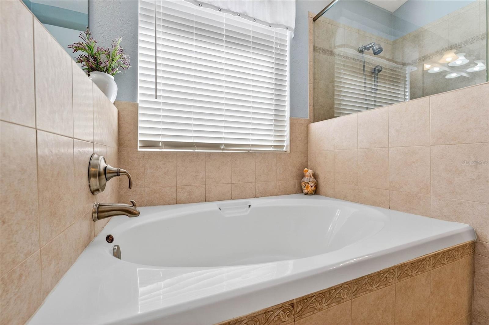 Primary - Garden Tub