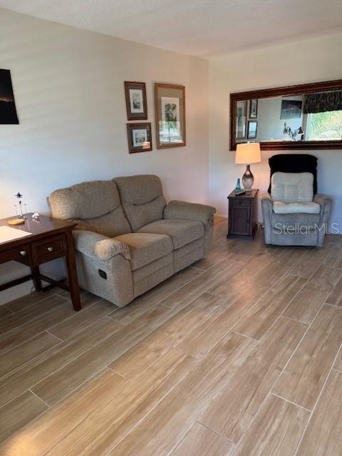 View From Front Door Into Condo