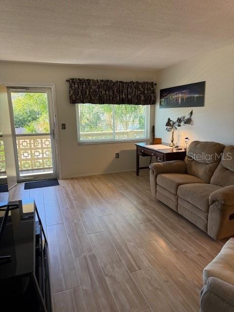 View Into Living Room From Hallway