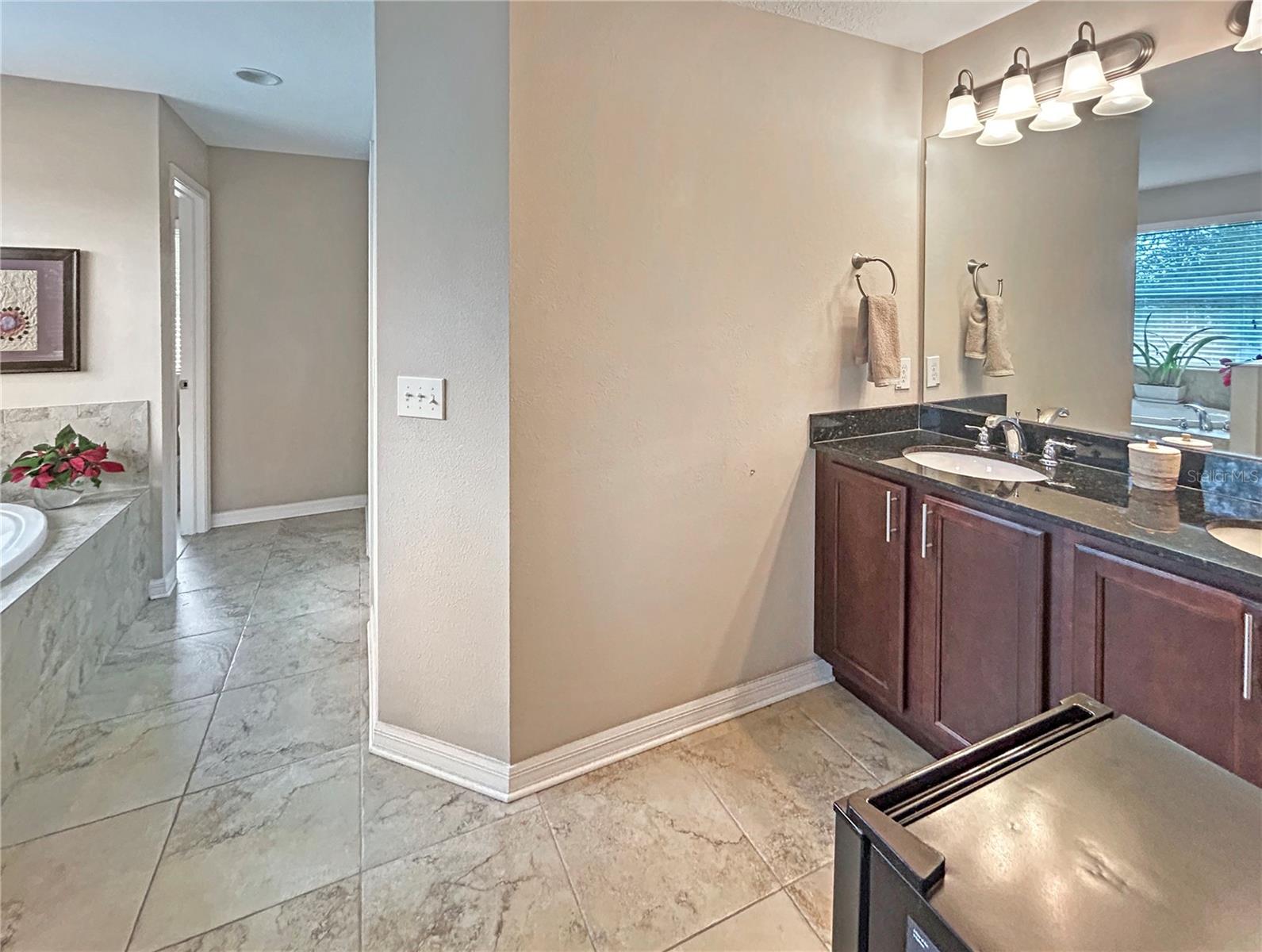 Master suit bathroom