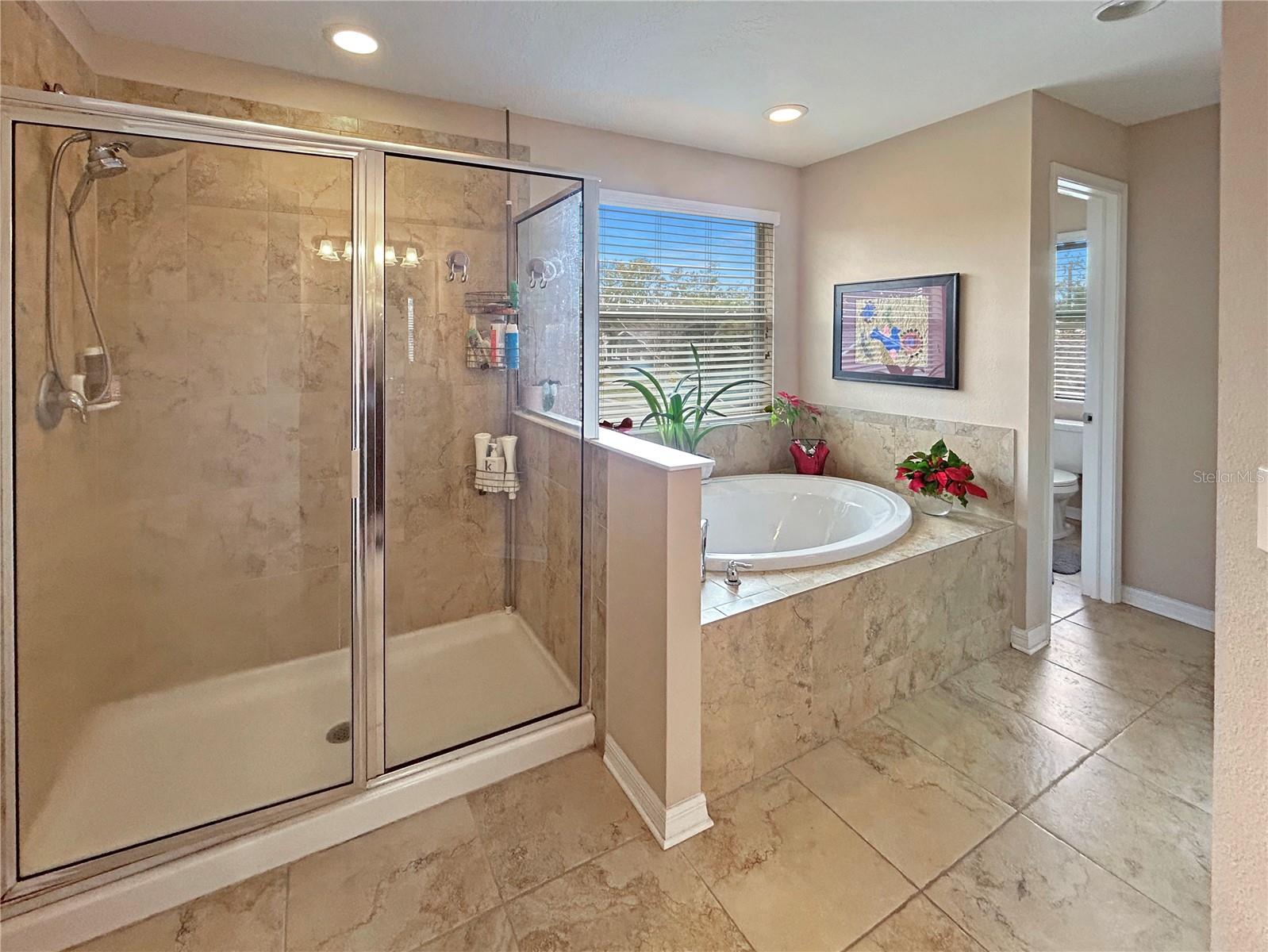 Master Suit Bathroom