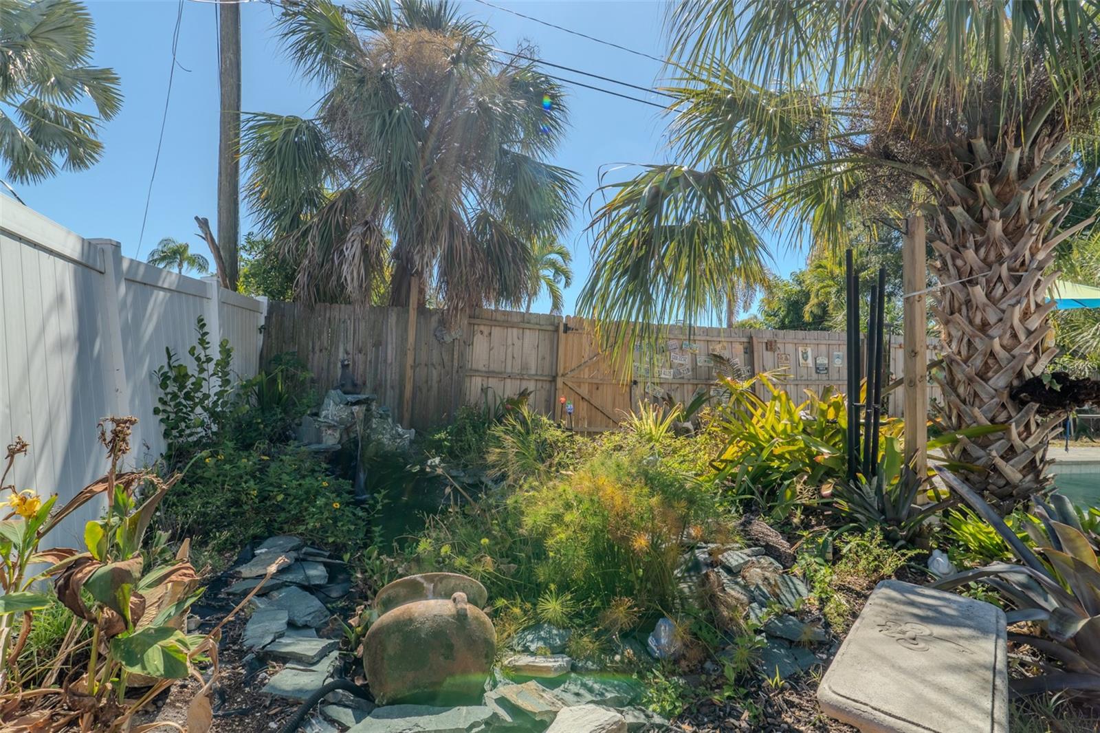 Koi Pond, Backyard Garden.