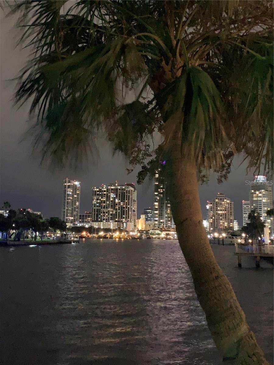 Downtown St Petersburg view from the Pier