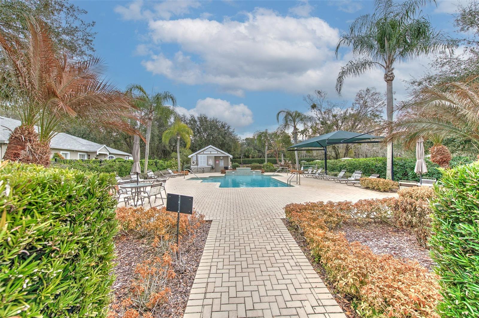 Osprey Club Amenities