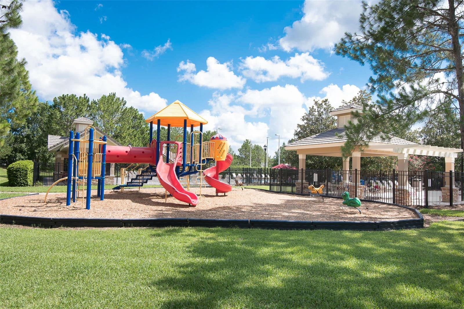 Osprey Club Amenities