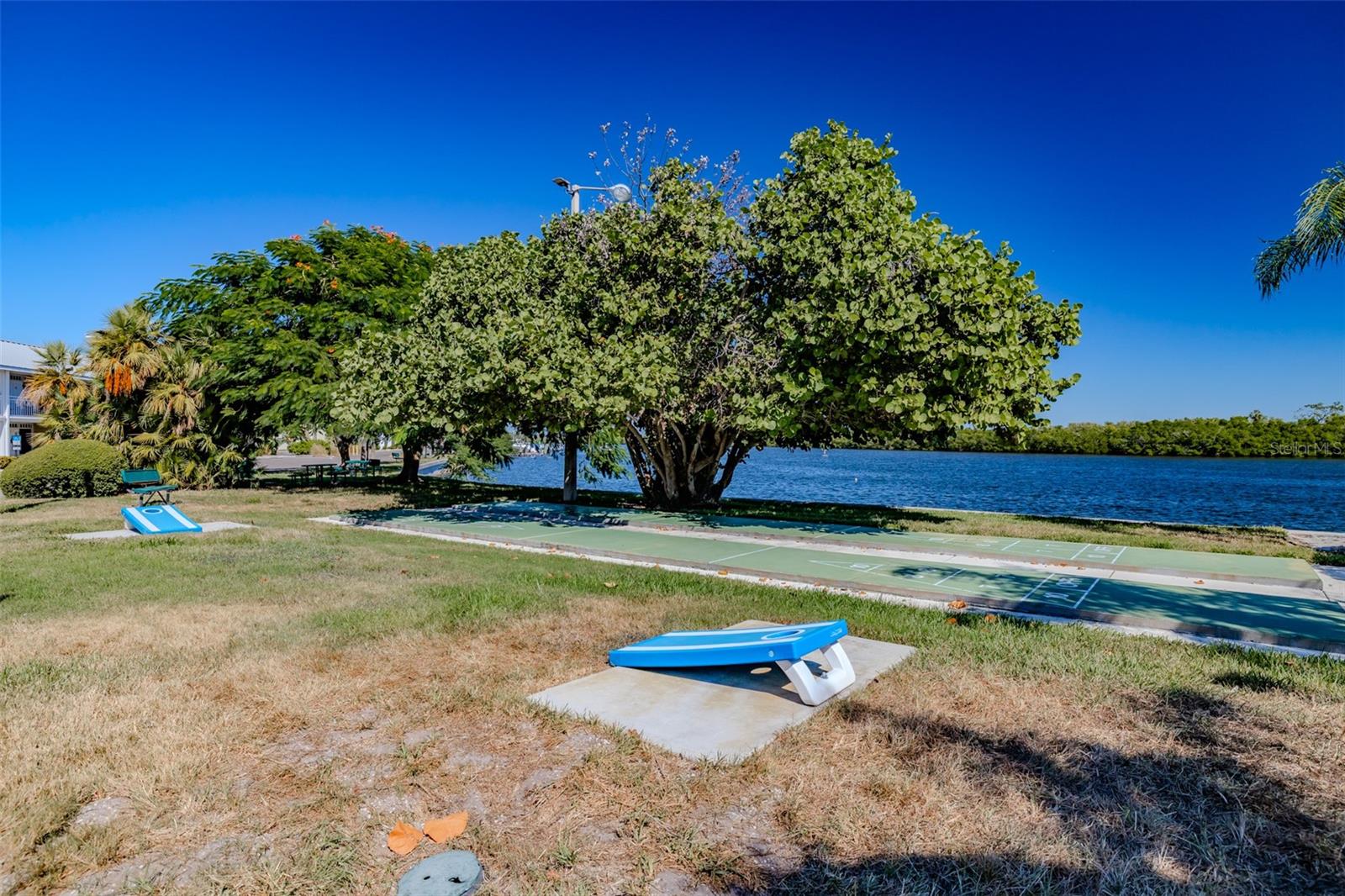 Cornhole & Shuffleboard