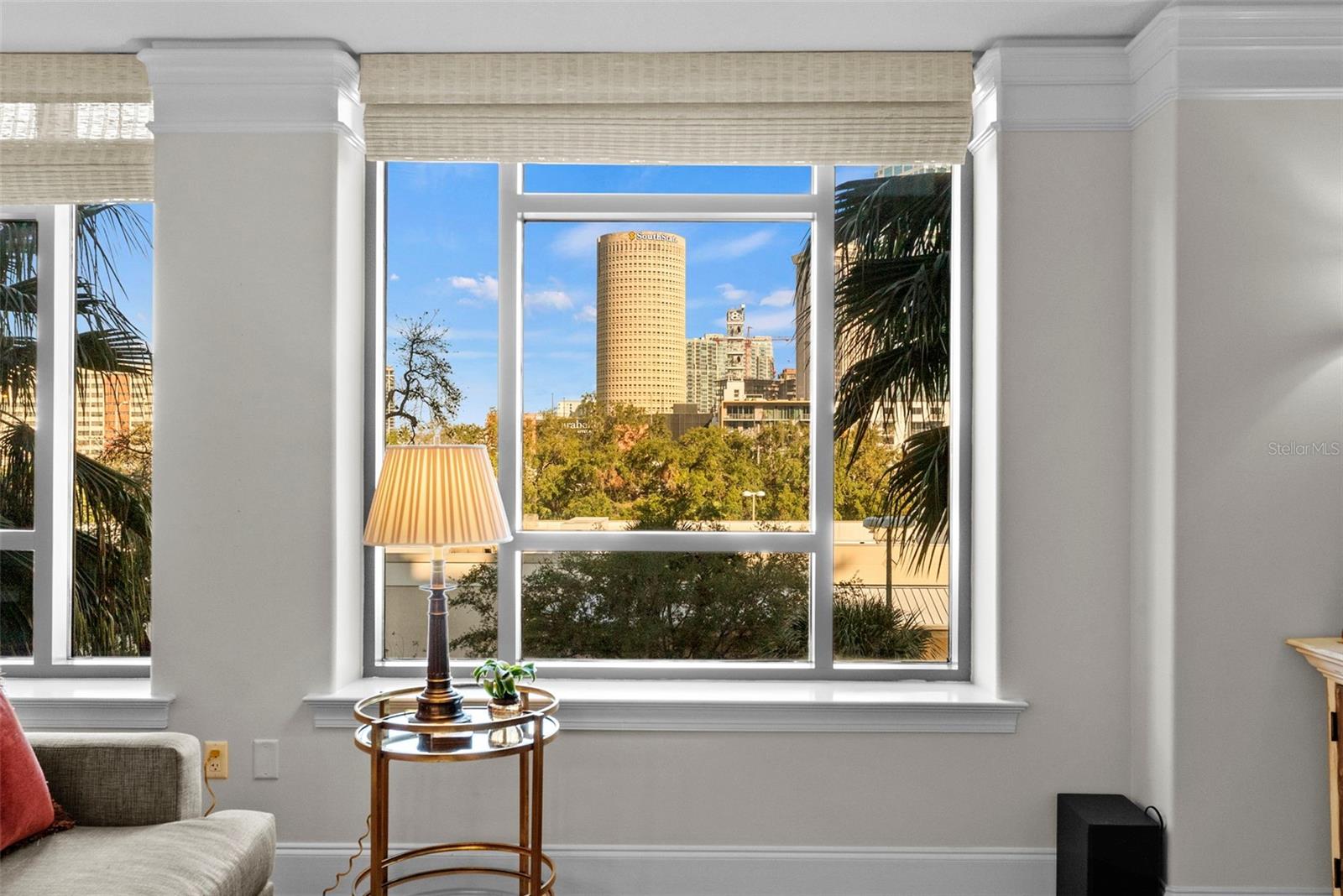 Downtown views from living room