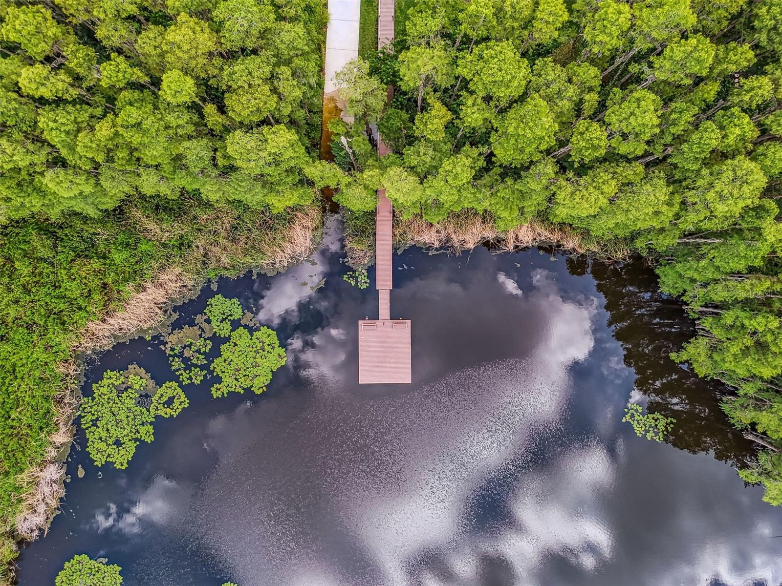 Enjoy fishing off the community dock