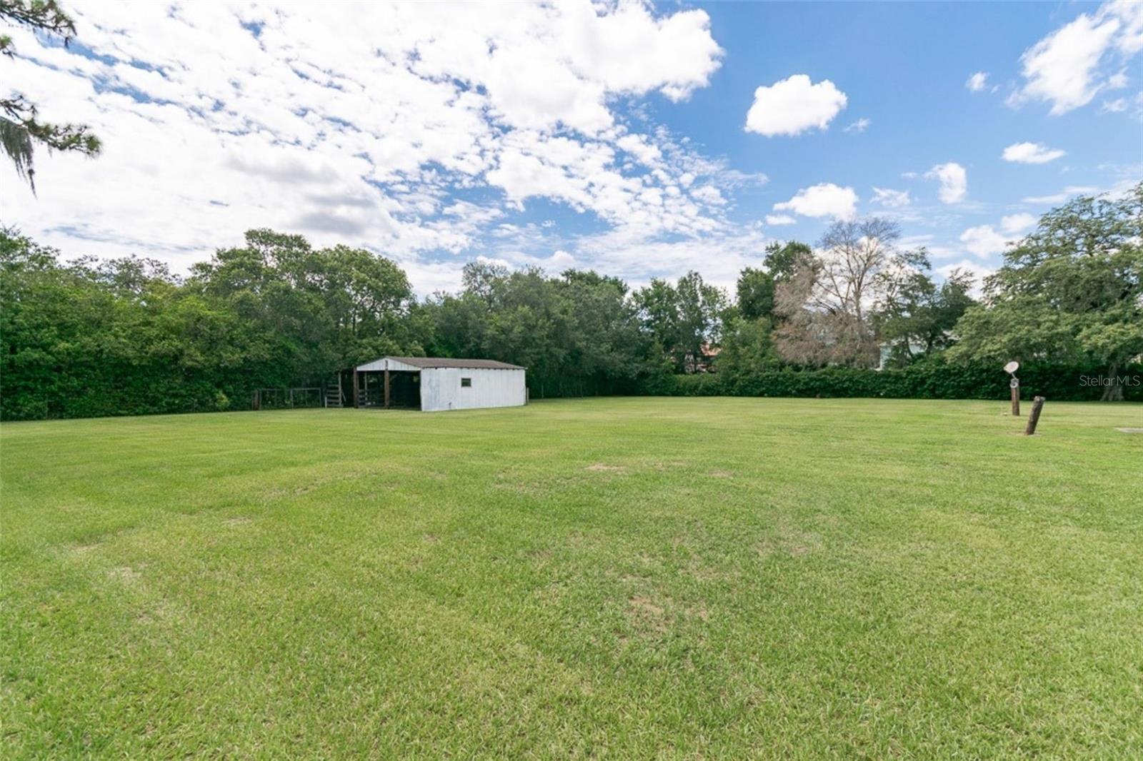 Backyard view showcasing depth of property and expansive open space
