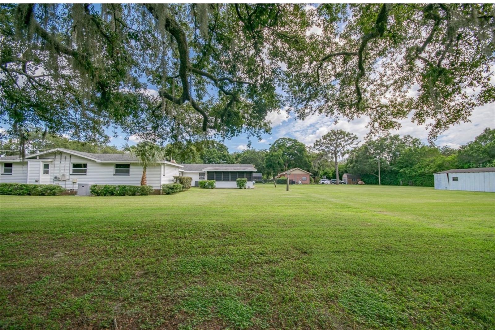 Backyard view framed by mature shade tree overlooking residence and open yard.