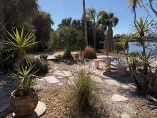 Large backyard with lots of options for gardens, etc.