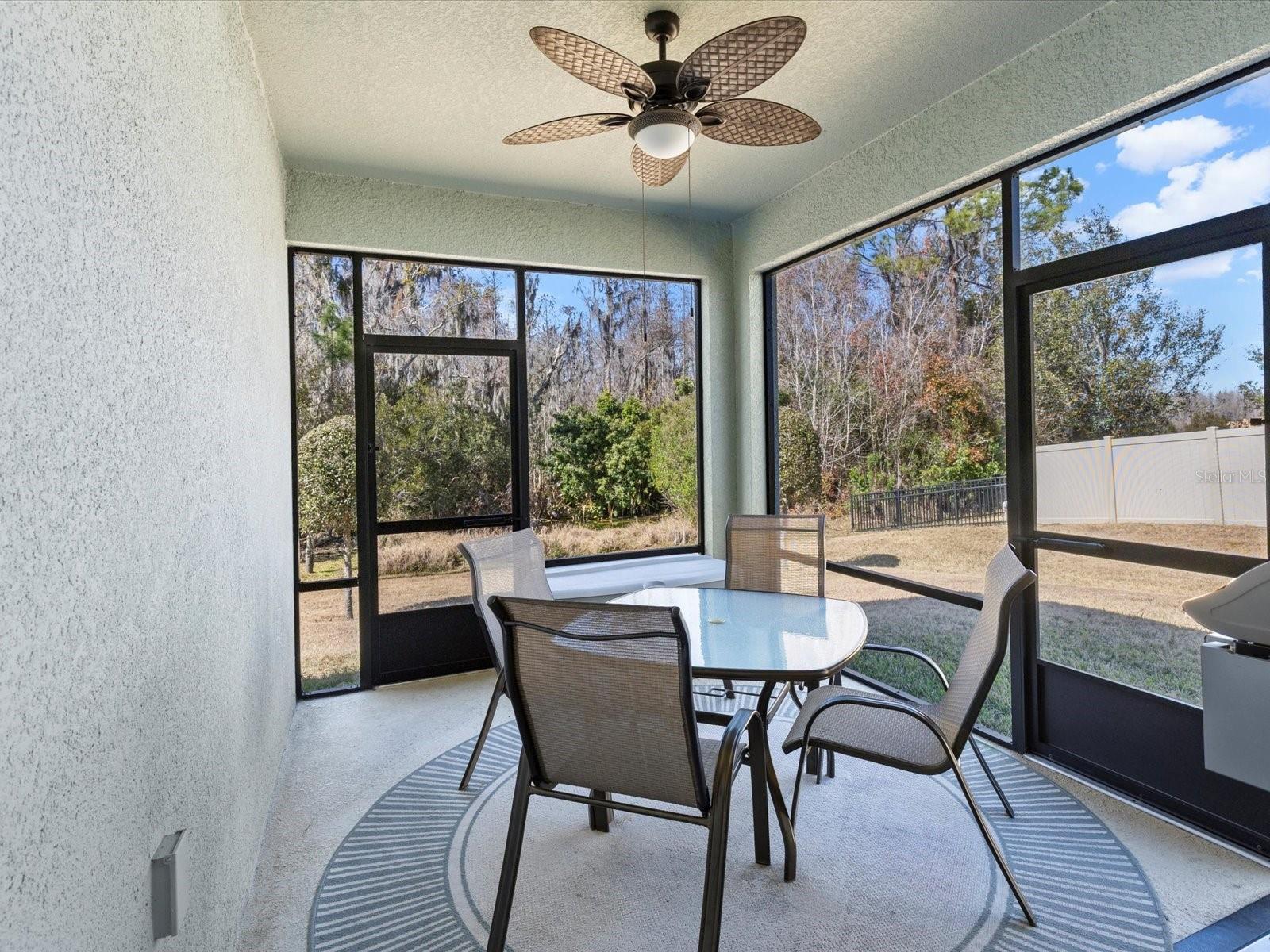 Screened in Patio overlooking the preserve area