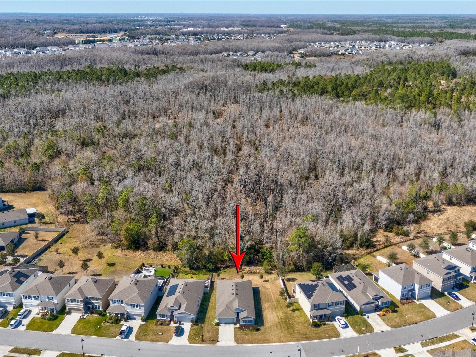 Preserve area behind the home