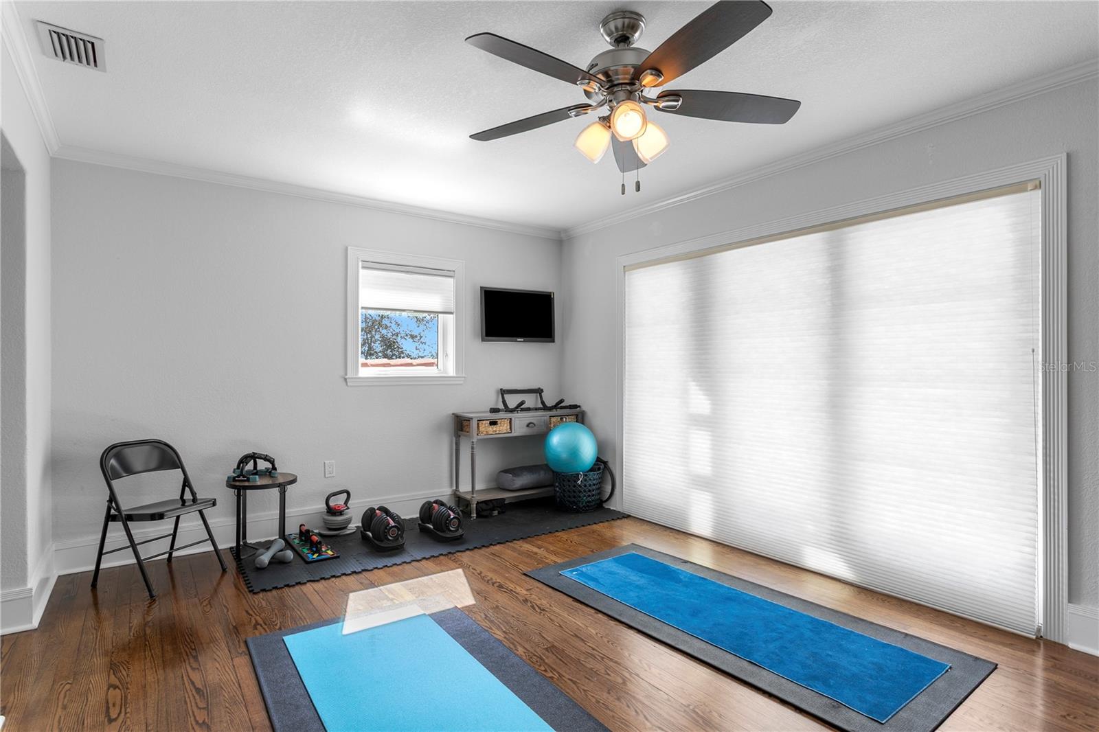 bedroom or gym