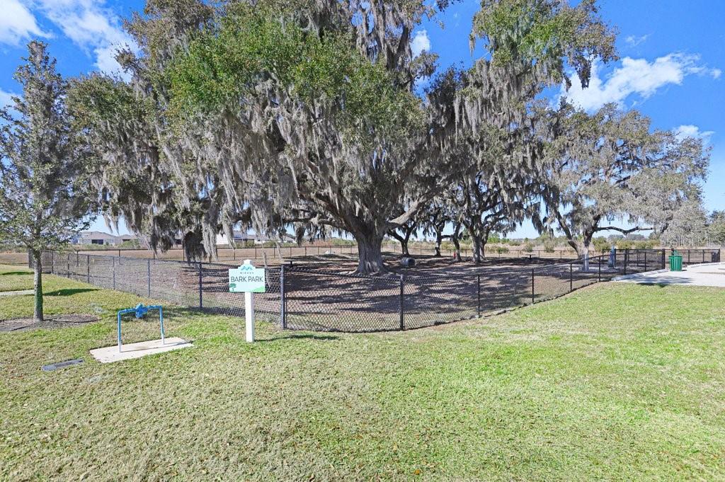 Bark Park right down the street