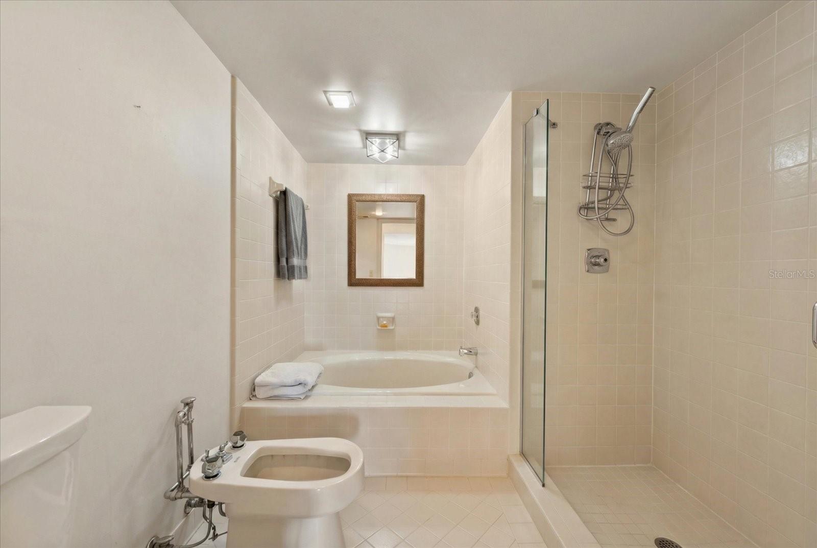 Spacious walk in shower with seperate tub
