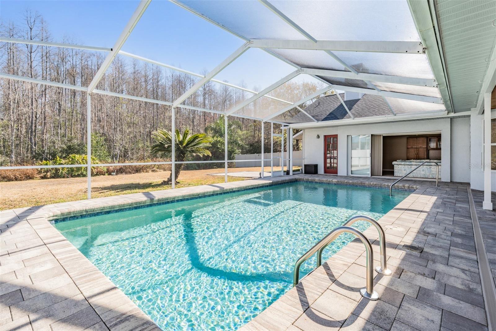 Large pool with paver deck and conservation views