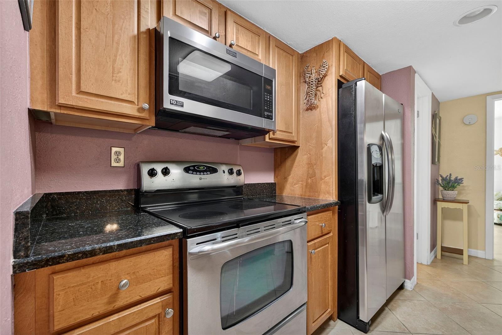 Stainless appliances