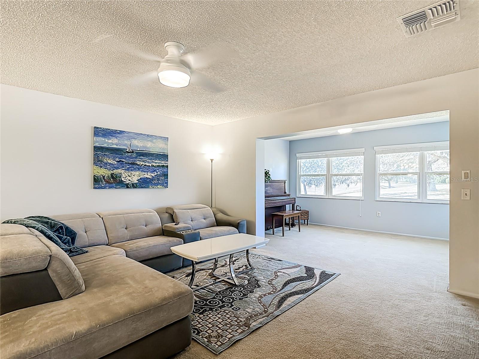 Living Room - Bonus/Family Room