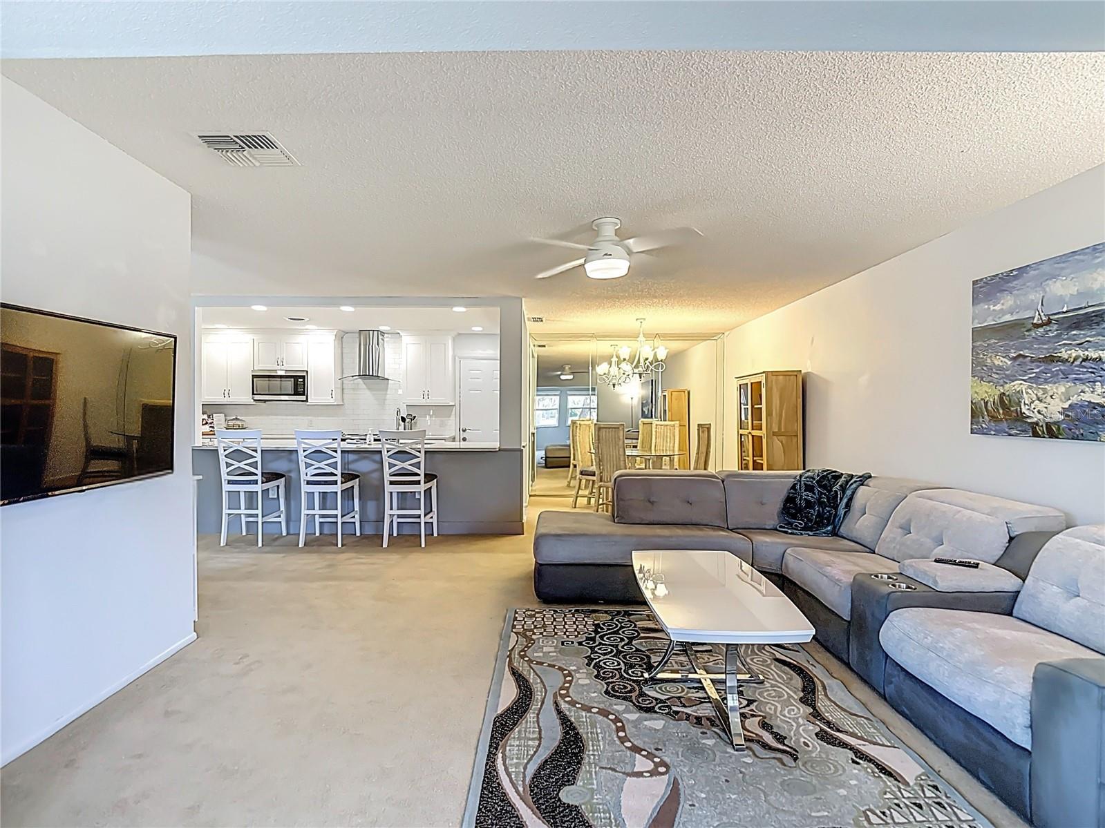 Living Room - Dining Room - Kitchen